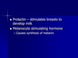 Prolactin – stimulates breasts to
develop milk
 Melanocyte stimulating hormone
– Causes synthesis of melanin
 