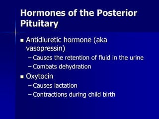 Hormones of the Posterior
Pituitary
 Antidiuretic hormone (aka
vasopressin)
– Causes the retention of fluid in the urine
– Combats dehydration
 Oxytocin
– Causes lactation
– Contractions during child birth
 