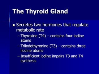 The Thyroid Gland
 Secretes two hormones that regulate
metabolic rate
– Thyroxine (T4) – contains four iodine
atoms
– Triiodothyronine (T3) – contains three
iiodine atoms
– Insufficient iodine impairs T3 and T4
synthesis
 