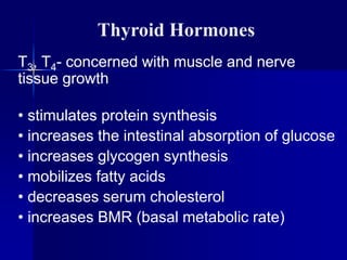T3, T4- concerned with muscle and nerve
tissue growth
• stimulates protein synthesis
• increases the intestinal absorption of glucose
• increases glycogen synthesis
• mobilizes fatty acids
• decreases serum cholesterol
• increases BMR (basal metabolic rate)
Thyroid Hormones
 