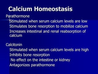 Calcium Homeostasis
Parathormone
Stimulated when serum calcium levels are low
Stimulates bone resorption to mobilize calcium
Increases intestinal and renal reabsorption of
calcium
Calcitonin
Stimulated when serum calcium levels are high
Inhibits bone resorption
No effect on the intestine or kidney
Antagonizes parathormone
 