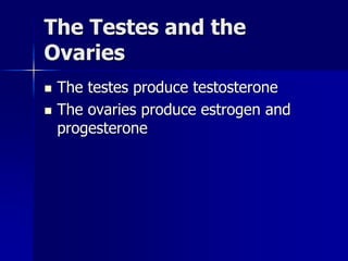 The Testes and the
Ovaries
 The testes produce testosterone
 The ovaries produce estrogen and
progesterone
 