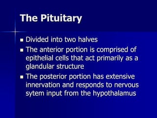 The Pituitary
 Divided into two halves
 The anterior portion is comprised of
epithelial cells that act primarily as a
glandular structure
 The posterior portion has extensive
innervation and responds to nervous
sytem input from the hypothalamus
 
