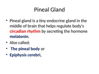 Comprehensive Overview of Pineal Gland, Melatonin, and Serotonin ...
