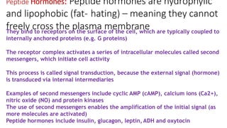 Peptide Hormones: Peptide hormones are hydrophylic
and lipophobic (fat- hating) – meaning they cannot
freely cross the plasma membrane
They bind to receptors on the surface of the cell, which are typically coupled to
internally anchored proteins (e.g. G proteins)
The receptor complex activates a series of intracellular molecules called second
messengers, which initiate cell activity
This process is called signal transduction, because the external signal (hormone)
is transduced via internal intermediaries
Examples of second messengers include cyclic AMP (cAMP), calcium ions (Ca2+),
nitric oxide (NO) and protein kinases
The use of second messengers enables the amplification of the initial signal (as
more molecules are activated)
Peptide hormones include insulin, glucagon, leptin, ADH and oxytocin
 