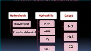 endocrinology . mechanism of hormone action cheshtha.pptx