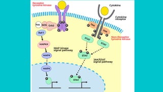 endocrinology . mechanism of hormone action cheshtha.pptx