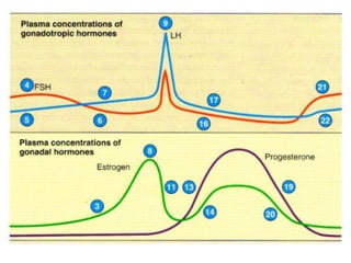 Hormonal Control Of Ovarian And Endometrial Cycles | PPTX