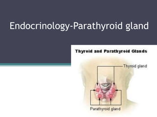 Endocrinology-Parathyroid gland
 