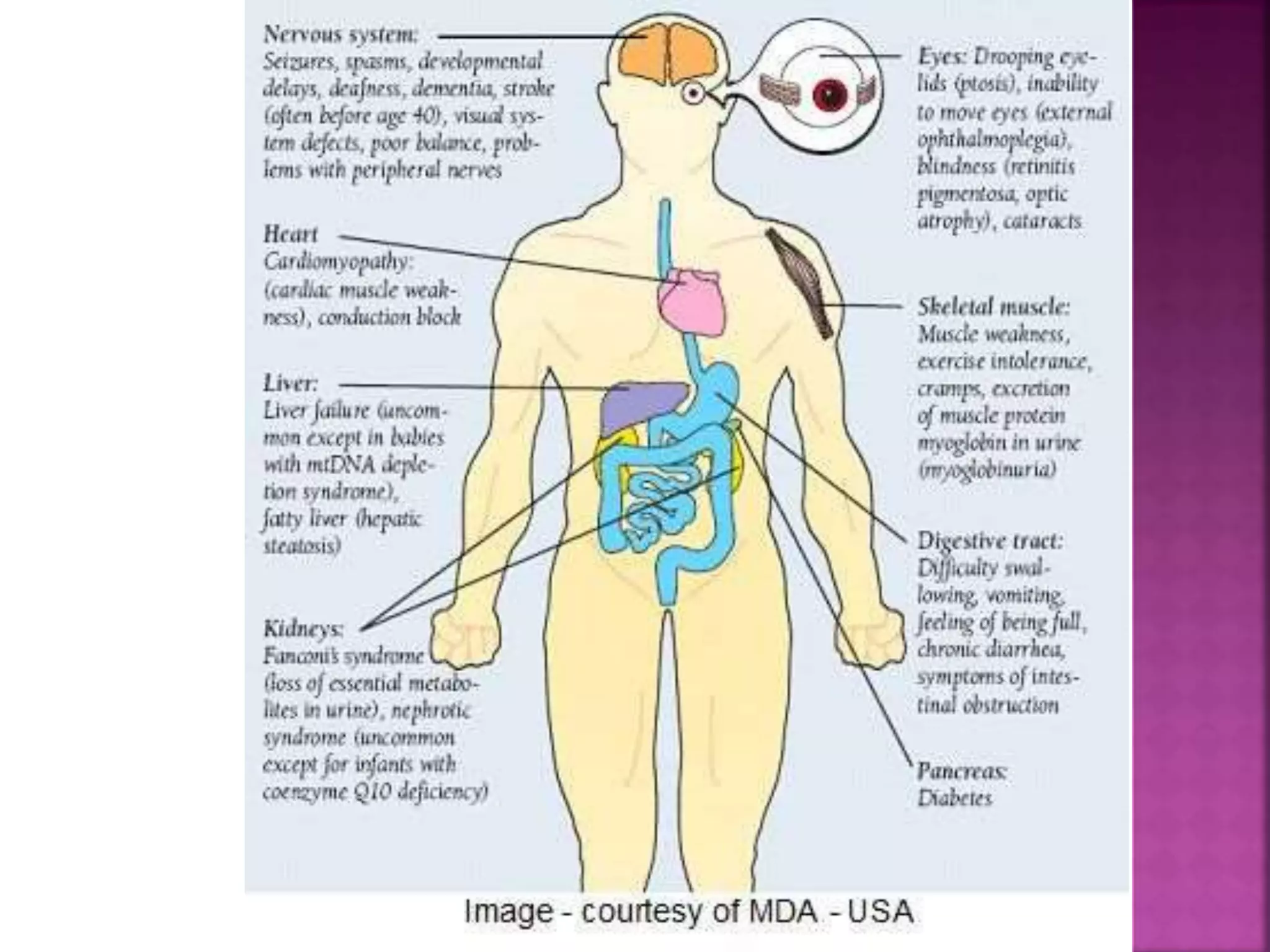 Endocrinology Thyroid Disorder Pptx