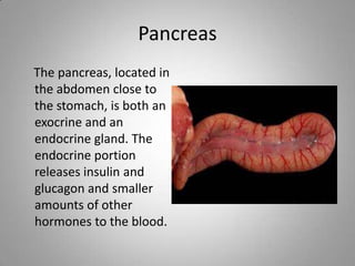 Pancreas
The pancreas, located in
the abdomen close to
the stomach, is both an
exocrine and an
endocrine gland. The
endocrine portion
releases insulin and
glucagon and smaller
amounts of other
hormones to the blood.
 