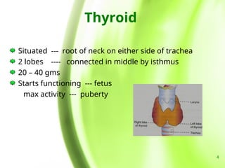 Endocrinology Part II.ppt valuable for diagnosis and treatment planning ...