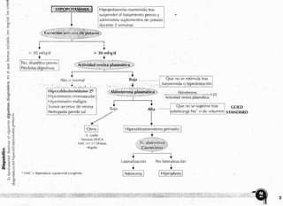 Endocrino pdf