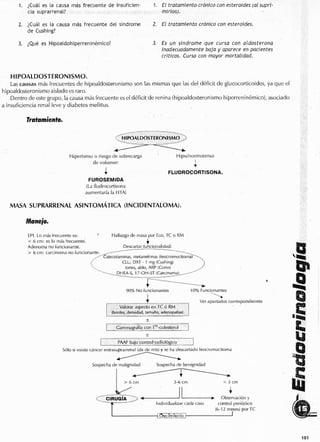 Endocrino pdf