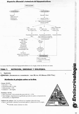 Endocrino pdf