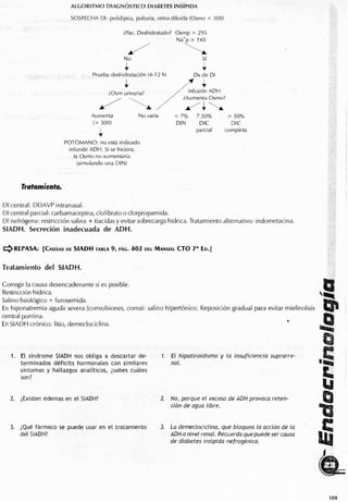 Endocrino pdf