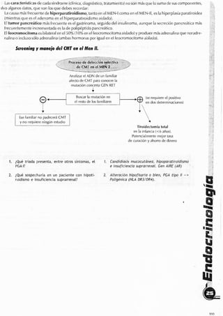 Endocrino pdf