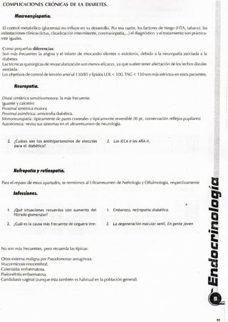 Endocrino pdf