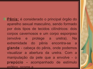 Pênis:  é considerado o principal órgão do aparelho sexual masculino, sendo formado por dois tipos de tecidos cilíndricos: dois corpos cavernosos e um corpo esponjoso (envolve e protege a uretra). Na extremidade do pênis encontra-se a  glande  - cabeça do pênis, onde podemos visualizar a abertura da uretra. Com a manipulação da pele que a envolve - o  prepúcio -  acompanhado de estímulo erótico, ocorre a   