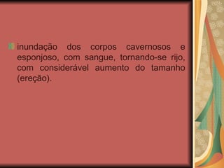inundação dos corpos cavernosos e esponjoso, com sangue, tornando-se rijo, com considerável aumento do tamanho (ereção). 