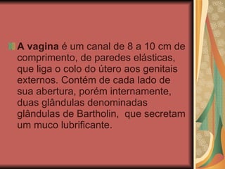 A vagina  é um canal de 8 a 10 cm de comprimento, de paredes elásticas, que liga o colo do útero aos genitais externos. Contém de cada lado de sua abertura, porém internamente, duas glândulas denominadas glândulas de Bartholin,  que secretam um muco lubrificante. 