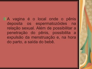 A vagina é o local onde o pênis deposita os espermatozóides na relação sexual. Além de possibilitar a penetração do pênis, possibilita a expulsão da menstruação e, na hora do parto, a saída do bebê. 