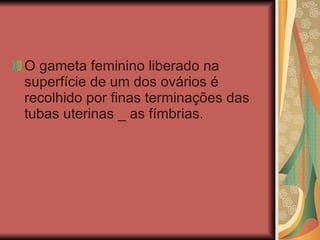 O gameta feminino liberado na superfície de um dos ovários é recolhido por finas terminações das tubas uterinas _ as fímbrias.   
