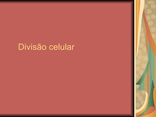Divisão celular 