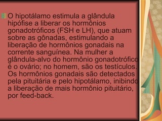 O hipotálamo estimula a glândula hipófise a liberar os hormônios gonadotróficos (FSH e LH), que atuam sobre as gônadas, estimulando a liberação de hormônios gonadais na corrente sanguínea. Na mulher a glândula-alvo do hormônio gonadotrófico é o ovário; no homem, são os testículos. Os hormônios gonadais são detectados pela pituitária e pelo hipotálamo, inibindo a liberação de mais hormônio pituitário, por feed-back.  