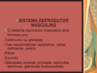 SISTEMA REPRODUTOR MASCULINO O sistema reprodutor masculino está formado por:  -Testículos ou gônadas  -Vias espermáticas: epidídimo, canal deferente, uretra.  -Pênis  -Escroto  -Glândulas anexas: próstata, vesículas seminais, glândulas bulbouretrais.  