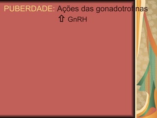    GnRH PUBERDADE:  Ações das gonadotrofinas 