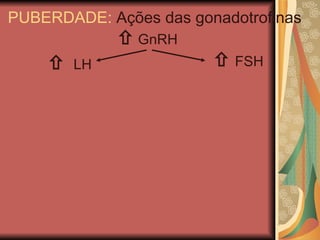    LH    GnRH PUBERDADE:  Ações das gonadotrofinas    FSH 