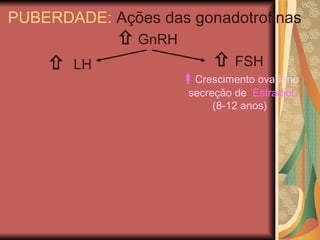    LH    GnRH PUBERDADE:  Ações das gonadotrofinas    FSH  Crescimento ovariano secreção de  Estradiol (8-12 anos) 
