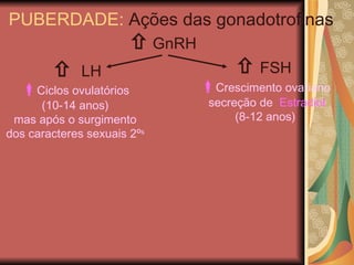    LH    GnRH PUBERDADE:  Ações das gonadotrofinas    FSH  Ciclos ovulatórios (10-14 anos) mas após o surgimento dos caracteres sexuais 2º s  Crescimento ovariano secreção de  Estradiol (8-12 anos) 