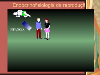 Endocrinofisiologia da reprodução 