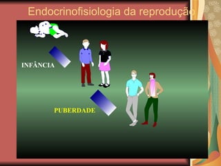 Endocrinofisiologia da reprodução 