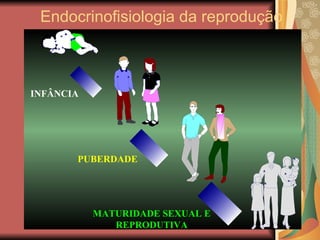 Endocrinofisiologia da reprodução 