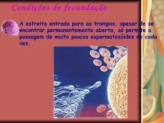 Condições de fecundação A estreita entrada para as trompas, apesar de se encontrar permanentemente aberta, só permite a passagem de muito poucos espermatozóides de cada vez. 