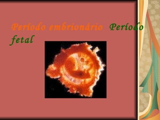Período embrionário   Período fetal 
