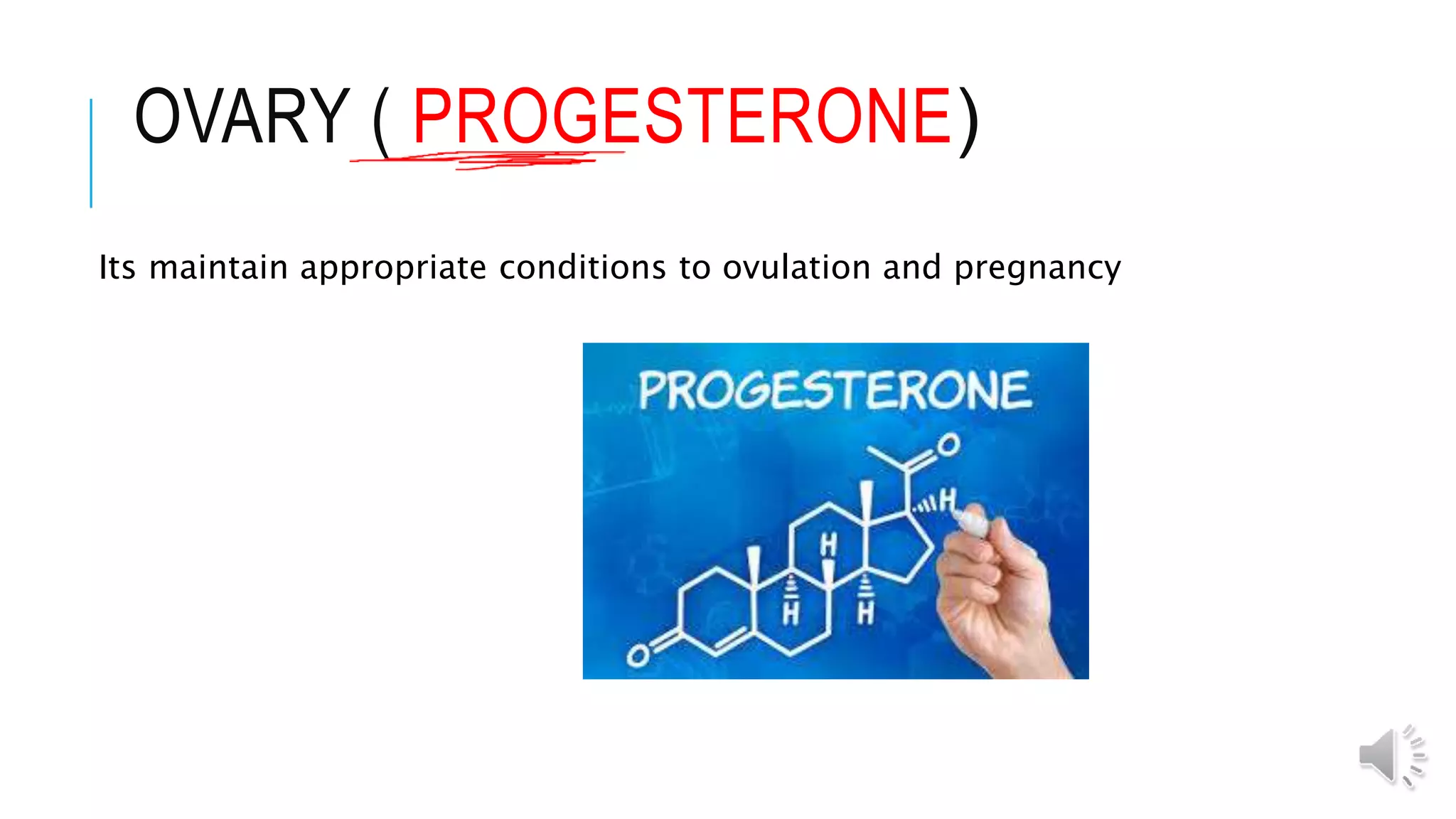 OVARY ( PROGESTERONE(
Its maintain appropriate conditions to ovulation and pregnancy
 