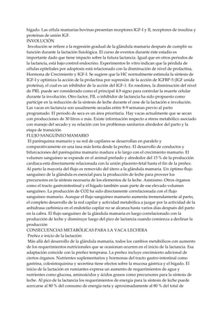 hígado. Las célula mamarias bovinas presentan receptores IGF-I y II, receptores de insulina y
proteínas de unión IGF.
INVOLUCIÓN
Involución se refiere a la regresión gradual de la glándula mamaria después de cumplir su
función durante la lactación fisiológica. El curso de eventos durante éste estadio es
importante dado que tiene impacto sobre la futura lactancia. Igual que en otros periodos de
la lactancia, está bajo control endocrino. Experimentos In vitro indican que la pérdida de
células epiteliales por adoptosis está relacionado con la disminución de nivel de prolactina,
Hormona de Crecimiento y IGF-I. Se sugiere que la HC normalmente estimula la síntesis de
IGF-I y optimiza la acción de la prolactina por supresión de la acción de IGFBP-5 (IGF unida
proteína), el cual es un inhibidor de la acción del IGF-1. En roedores, la disminución del nivel
de PRL puede ser considerado como el principal 4,9 signo para controlar la muerte celular
durante la involución. Otro factor, FIL o inhibidor de lactancia ha sido propuesto como
partícipe en la reducción de la síntesis de leche durante el cese de la lactación e involución.
Las vacas en lactancia son usualmente secadas entre 8-9 semanas previo al parto
programado. El periodo de seca es un área prioritaria. Hay vacas actualmente que se secan
con producciones de 30 litros o más. Existe información respecto a stress metabólico asociado
con manejo del secado y su relación con los problemas sanitarios alrededor del parto y la
etapa de transición
FLUJO SANGUÍNEO MAMARIO
El parénquima mamario y su red de capilares se desarrollan en paralelo y
comparativamente en una tasa más lenta desde la preñez. El desarrollo de conductos y
bifurcaciones del parénquima mamario madura a lo largo con el crecimiento mamario. El
volumen sanguíneo se expande en el animal preñado y alrededor del 15 % de la producción
cardiaca está directamente relacionada con la unión placento-fetal hasta el fin de la preñez.
Al parto la mayoría del flujo es removido del útero a la glándula mamaria. Un óptimo flujo
sanguíneo de la glándula es esencial para la producción de leche para proveer los
precursores en la síntesis necesaria de los elementos de la leche. Asimismo. Otros órganos
como el tracto gastrointestinal y el hígado también usan parte de ese elevado volumen
sanguíneo. La producción de CO2 ha sido directamente correlacionada con el flujo
sanguíneo mamario. Aunque el flujo sanguíneo mamario aumenta tremendamente al parto,
el completo desarrollo de la red capilar y actividad metabólica a juzgar por la actividad de la
anhidrasa carbónica en el endotelio capilar no se alcanza hasta varios días después del parto
en la cabra. El flujo sanguíneo de la glándula mamaria es luego correlacionado con la
producción de leche y disminuye luego del pico de lactancia cuando comienza a declinar la
producción
CONSECUENCIAS METABÓLICAS PARA LA VACA LECHERA
Preñez e inicio de la lactación:
Más allá del desarrollo de la glándula mamaria, todos los cambios metabólicos con aumento
de los requerimientos nutricionales que se ocasionan ocurren en el inicio de la lactancia. Esa
adaptación coincide con la preñez temprana. La preñez incluye crecimiento adicional de
ciertos órganos. Nutrientes suplementarios y hormonas del tracto gastro-intestinal como
gastrina, colesistoquinina y secretina tiene efectos sobre la mucosa gástrica y el hígado. El
inicio de la lactación en rumiantes expresa un aumento de requerimientos de agua y
nutrientes como glucosa, aminoácidos y ácidos grasos como precursores para la síntesis de
leche. Al pico de la lactancia los requerimientos de energía para la síntesis de leche puede
acercarse al 80 % del consumo de energía neta y aproximadamente al 80 % del total de
 