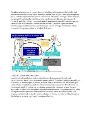 Semejante a la oxitocina, la vasopresina es producida en el hipotálamo relacionada con la
neurohipofisis y la acción de ambas hormonas pueden estar ligadas a otros neuroreceptores,
por lo tanto no debe sorprender cuando una infusión intravenosa fisiológica de vasopresina
causa eyección de leche. La eyección de leche puede también obtenerse por infusión de
cloruro de sodio hipertónico. La concentración de vasopresina plasmática aumenta, pero la
concentración de oxitocina no admite cambios durante la infusión. Bajo condiciones
normales de producción se reconoce a la oxitocina como la principal hormona del reflejo
neuroendocrino comprometido en la bajada de la leche.
COMPORTAMIENTO Y OXITOCINA
La oxitocina se interrelaciona en forma positiva con el comportamiento maternal,
comportamiento sexual e interacciones sociales en general. En ovinos, ha sido observado que
la oxitocina es necesaria para el proceso de unión entre la madre y su hijo. En mujeres que
amamantan el nivel de tranquilidad se relacionó con el número de picos de oxitocina y con
competencia social. Es posible que la oxitocina tenga similar efectos en la vaca. En vacas
lecheras ha ido observada la tendencia a mayor interacción social y mayor tiempo de echado
y comportamiento de rumia cuando se analizó vacas que comen durante el ordeño. Con
pequeños cambios en la rutina del manejo cotidiano es posible por lo tanto influenciar en su
fisiología y su ambiente para lograr ventajas productivas.
 