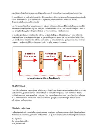 hipotálamo-hipofisario, que constituye el centro de control de producción de hormonas.
El hipotálamo, al recibir información del organismo, libera una neurohormona, denominada
factor de liberación, que actúa sobre la hipófisis, promoviendo la secreción de una
determinada hormona hipofisaria.
Las hormonas hipofisarias actúan sobre tejidos u órganos blanco. El resultado es un cambio
metabólico en el tejido u órgano receptor de la hormona. En el caso en que el órgano blanco
sea una glándula, el efecto consistirá en la producción de otra hormona.
El cambio producido en el medio interno es detectado por el hipotálamo, y esto inhibe la
producción de neurohormonas, con lo que se bloquea la secreción hormonal en la hipófisis.
Las condiciones en el medio interno volverán a la situación inicial que desencadenó todo el
proceso, con lo que el hipotálamo volverá a producir neurohormona.
GLÁNDULAS
Una glándula es un conjunto de células cuya función es sintetizar sustancias químicas, como
las hormonas, para liberarlas, a menudo en la corriente sanguínea y en el interior de una
cavidad corporal o su superficie exterior. Hay glandulas endocrinas, cuya función exclusiva
es la producción de hormonas, y endo-exocrinas que producen otro tipo de sustancias
además de las hormonas.
Glándulas endocrinas
La Endocrinología estudia las glándulas que producen las hormonas, es decir, las glándulas
de secreción interna o glándulas endocrinas. Las glándulas endocrinas más importantes son:
-La hipófisis
-La glándula tiroides
-Las paratiroides
 