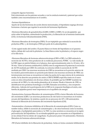 compartir algunas funciones.
Está relacionada con los patrones sexuales y con la conducta maternal y paternal que actúa
también como neurotransmisor en el cerebro.
-Factores hipotalámicos
Aparte de las dos hormonas de acción directa mencionadas, el hipotálamo segrega diversas
hormonas o factores que regulan la secreción de hormonas hipofisarias.
-Hormona liberadora de gonadotrofina (GnRH, LHRH o LHRF). Es un decapéptido que
actúa sobre la hipófisis, estimulando la producción y la liberación de la hormona luteinizante
(LH) y la hormona foliculoestimulante (FSH).
-Hormona liberadora de tirotropina (TRH). Es un tripéptido que estimula la secreción de
prolactina (PRL) y de tirotropina (TSH) por parte de la adenohipófisis.
-Corte sagital medio del cerebro. El punto blanco en frente del hipotálamo es el quiasma
óptico, debajo del cual está la pituitaria. La línea blanca entre la pituitaria y el espacio negro
es la silla turca.
-Hormona liberadora de hormona adrenocorticotropa (CRH o CRF). La CRH estimula la
secreción de ACTH y otros productos de su molécula precursora, POMC. La vida media de
la CRH sigue un patrón bifásico en el plasma; dura aproximadamente entre 6 a 10 min y 40 a
50 min. Tanto la hormona antidiurética (ADH) como la angiotensina II potencian la secreción
de ACTH mediada por CRH. En contraste, la oxitocina inhibe la secreción de ACTH
mediada por CRH. Las neuronas secretoras de CRH se encuentran en la porción anterior de
los núcleos paraventriculares en posición justo lateral a las neuronas secretoras de TRH; sus
terminaciones nerviosas se encuentran en todas las partes de la capa externa de la eminencia
media. Se ha descrito una proteína de unión a CRH (CRHBP) específica tanto en el suero
como en sitios intracelulares de diversas células. Es probable que las CRHBP modulen las
acciones de la CRH y la vida media plasmática de la misma. Desde el decenio de 1990, se
identificaron tres proteínas homólogas a la CRH, llamadas urocortinas, y dos receptores
diferentes. Además de la participación de la CRH en la respuesta fisiológica al estrés, esta
familia de péptidos parece tener importancia en el equilibrio de energía.
-Somatocrinina, hormona liberadora de somatotropina (STH) o factor liberador de hormona
del crecimiento (GRF). Las neuronas productoras de este factor se encuentran en el núcleo
arcuato del hipotálamo. Se sintetiza a partir de un precursor de 107 o 108 aminoácidos.
Estimula la liberación de la hormona del crecimiento hipofisaria (GH).
-Somatostatina u hormona inhibidora de la liberación de somatotropina (GIH). Como su
nombre indica, inhibe la secreción de somatotropina y de otras hormonas como la insulina,
el glucagón, el polipéptido pancreático y la TSH. La zona secretora se encuentra en la región
periventricular del hipotálamo. Es un tetradecapéptido que se encuentra en el hipotálamo y
en las células D de los islotes de Langerhans. Su precursor posee 116 aminoácidos. Hormona
liberadora de hormona adrenocorticotropa.
-PIF (Factor inhibidor de la liberación de prolactina). Actúa en forma constante inhibiendo la
 