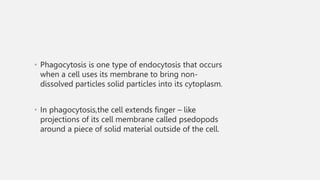 • Phagocytosis is one type of endocytosis that occurs
when a cell uses its membrane to bring non-
dissolved particles solid particles into its cytoplasm.
• In phagocytosis,the cell extends finger – like
projections of its cell membrane called psedopods
around a piece of solid material outside of the cell.
 