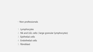 • Non professionals
1. Lymphocytes
2. Nk and LGL cells ( large granular lymphocytes)
3. Epithelial cells
4. Endothelial cells
5. fibroblast
 