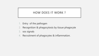 HOW DOES IT WORK ?
1. Entry of the pathogen
2. Recognition & phagocytosis by tissue phagocyte
3. sos signals
4. Recruitment of phagocytes & inflammation.
 