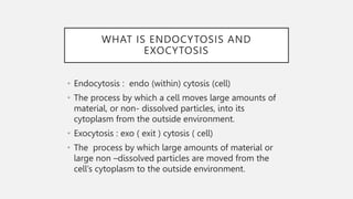 WHAT IS ENDOCYTOSIS AND
EXOCYTOSIS
• Endocytosis : endo (within) cytosis (cell)
• The process by which a cell moves large amounts of
material, or non- dissolved particles, into its
cytoplasm from the outside environment.
• Exocytosis : exo ( exit ) cytosis ( cell)
• The process by which large amounts of material or
large non –dissolved particles are moved from the
cell’s cytoplasm to the outside environment.
 