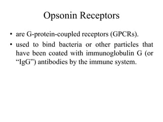 Opsonin Receptors
• are G-protein-coupled receptors (GPCRs).
• used to bind bacteria or other particles that
have been coated with immunoglobulin G (or
“IgG”) antibodies by the immune system.
 