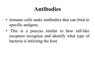 Antibodies
• immune cells make antibodies that can bind to
specific antigens.
• This is a process similar to how toll-like
receptors recognize and identify what type of
bacteria is infecting the host.
 